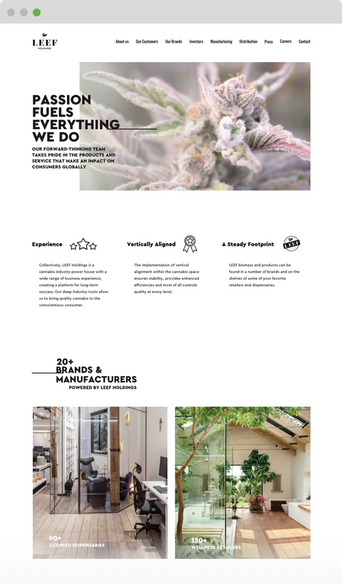 Web design for Leef Holdings